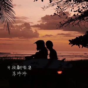 亚洲欧美成aⅴ
